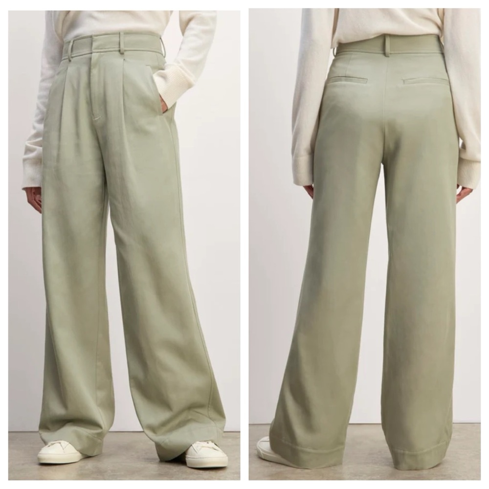 Everlane The Draper Pleated Wide Leg Trouser Pant in Buttersmooth Seagrass